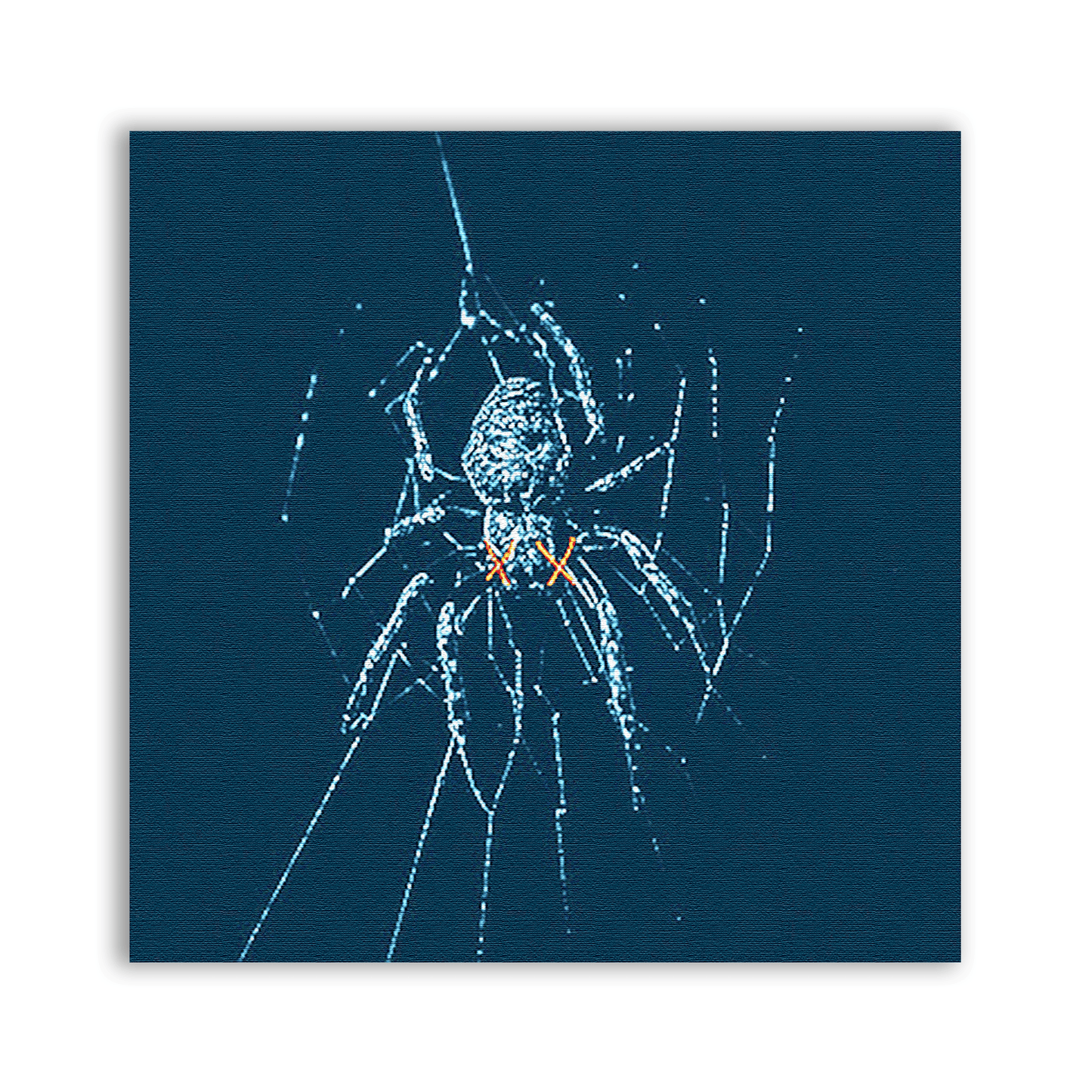Spider Patch