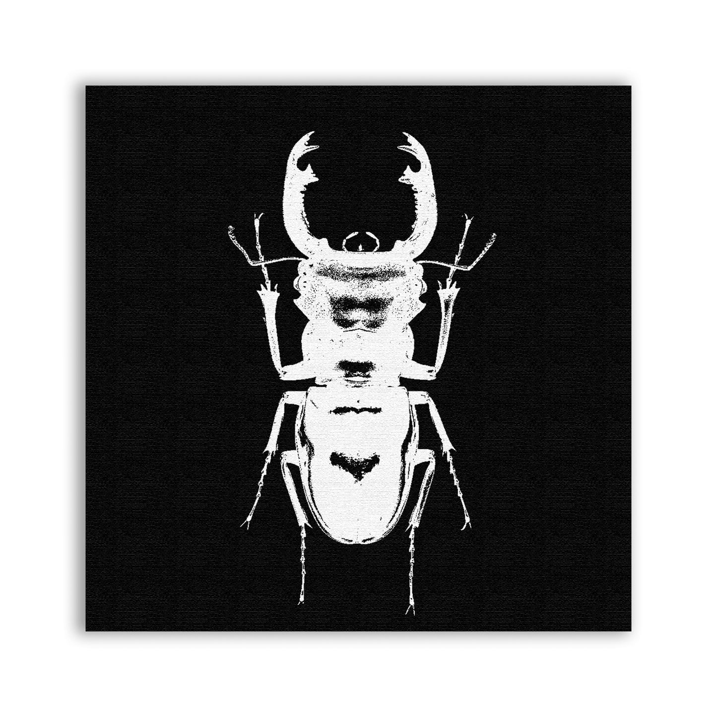 Beetle Black Patch - CemeteryCrypt