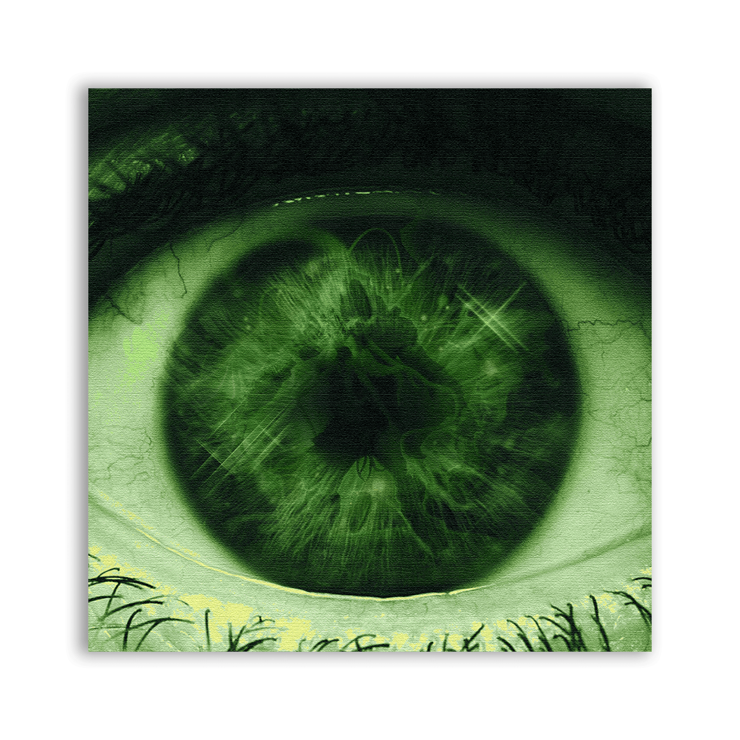 Close Up Green Eye Patch - CemeteryCrypt