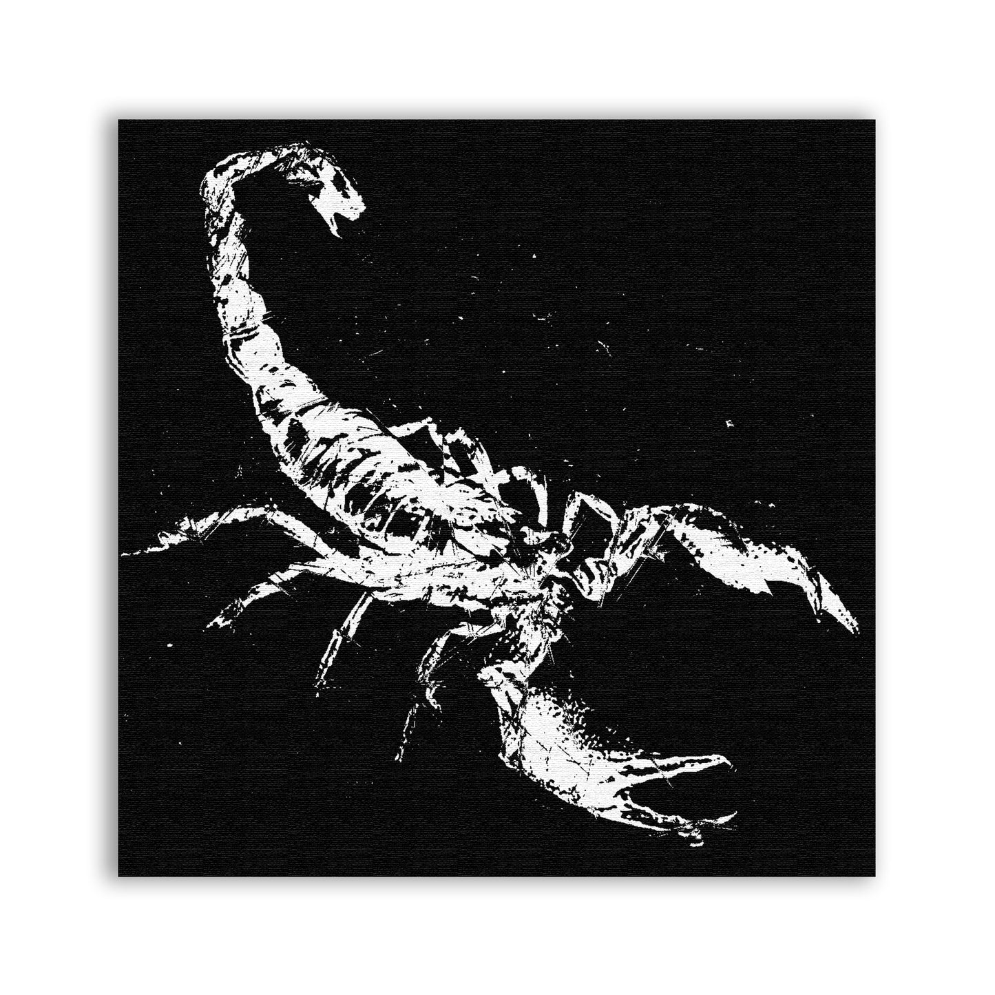 Distressed Scorpion Patch - CemeteryCrypt