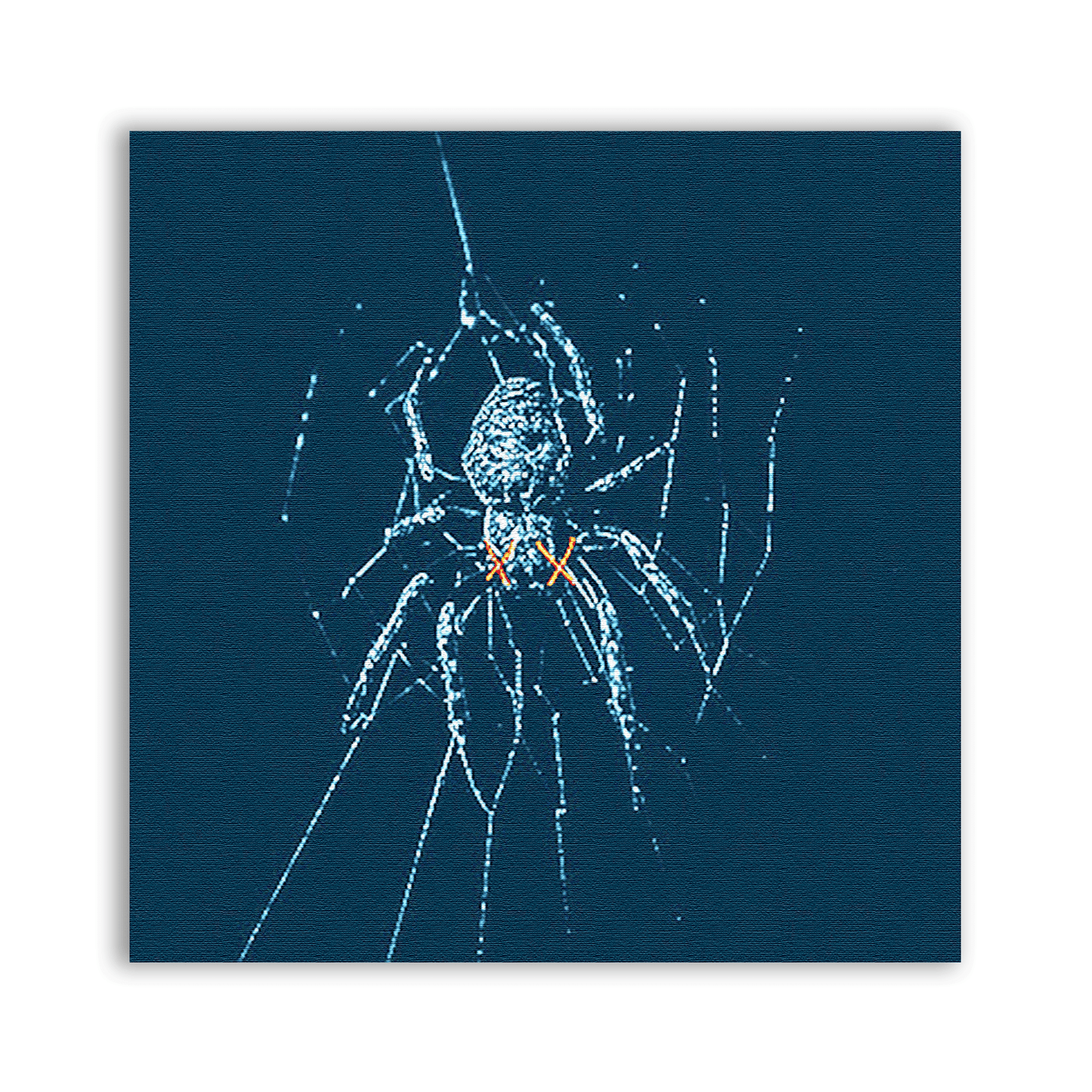 Spider Patch - CemeteryCrypt