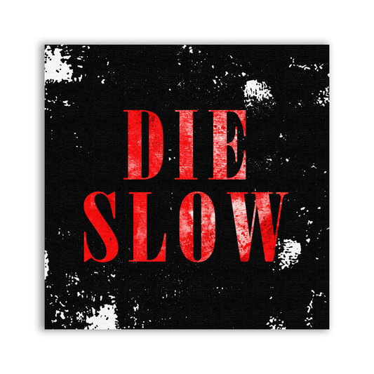 Die Slow Patch