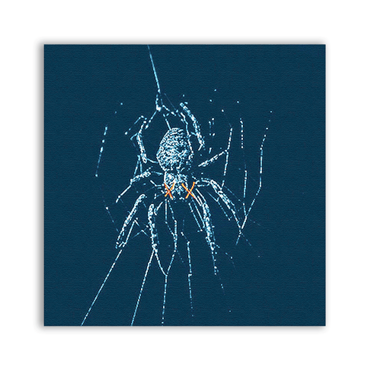 Spider Patch