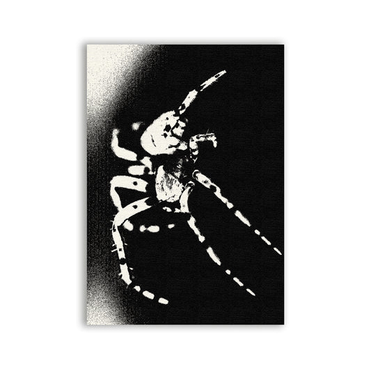 Arachnophobia Patch - CemeteryCrypt