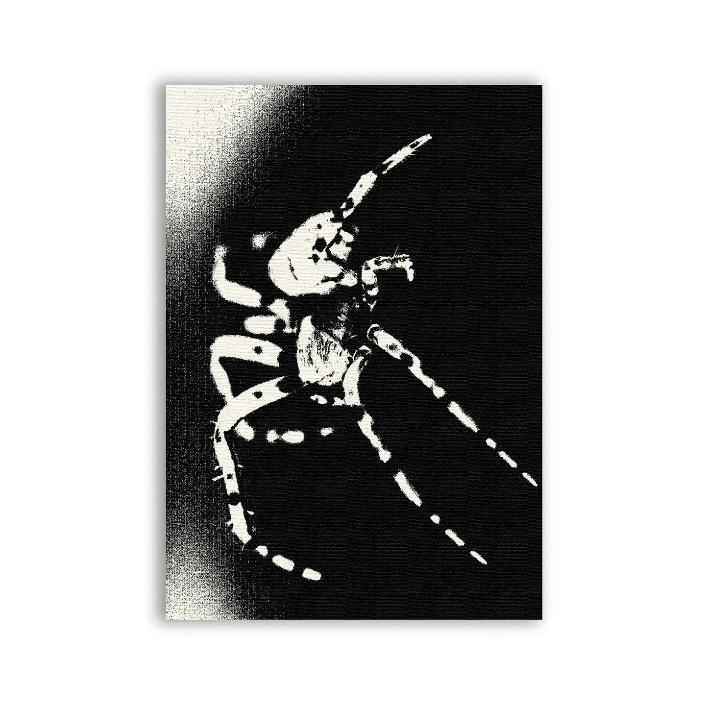 Arachnophobia Patch - CemeteryCrypt