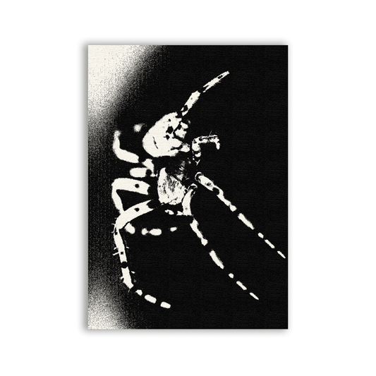 Arachnophobia Patch - CemeteryCrypt