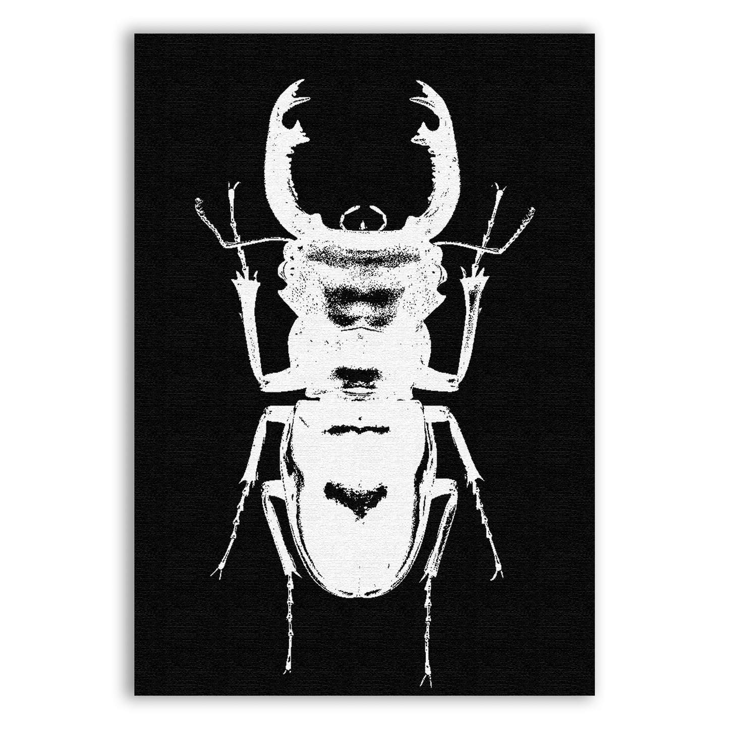 Beetle Back Patch - CemeteryCrypt