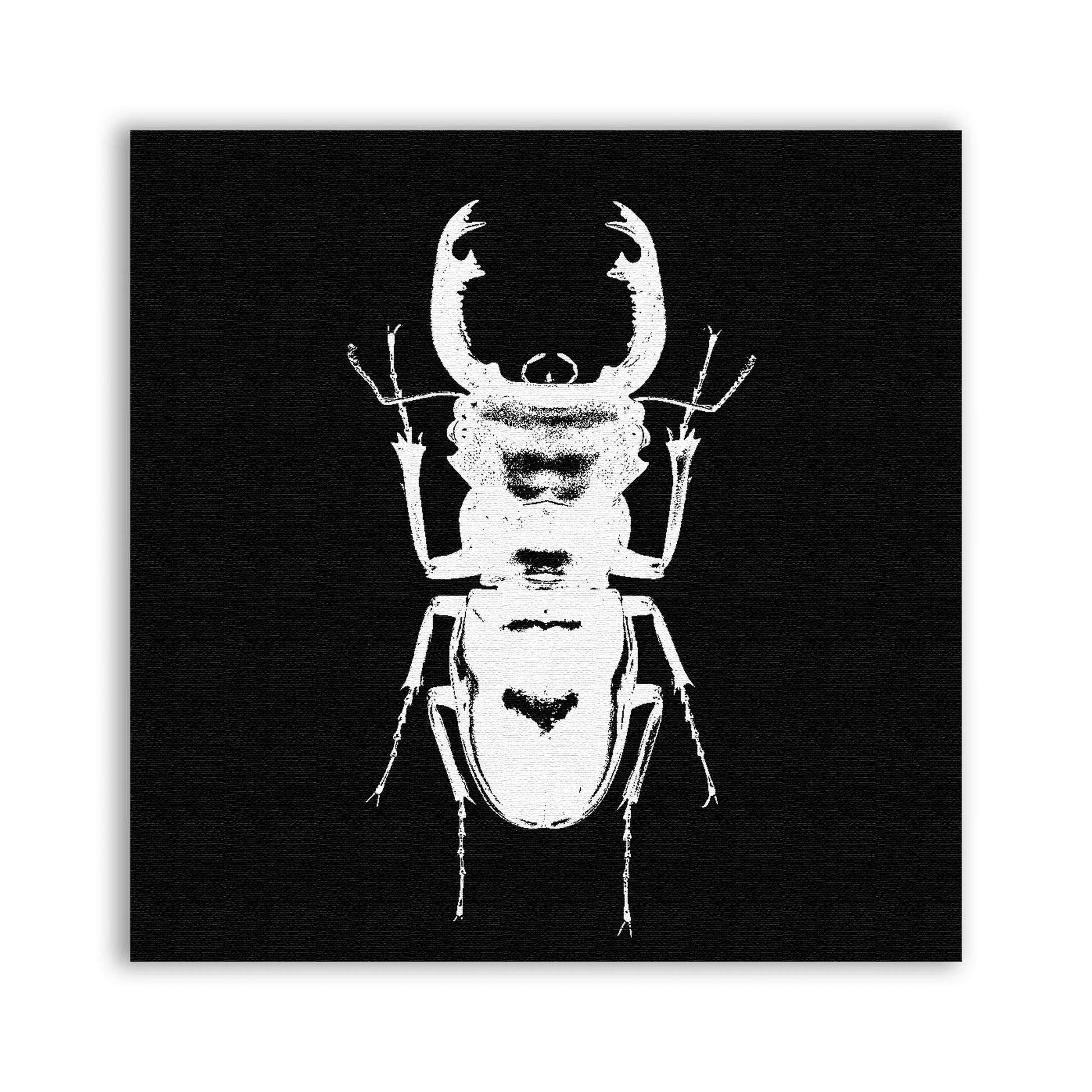 Beetle Black Patch - CemeteryCrypt