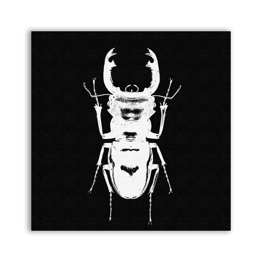 Beetle Black Patch - CemeteryCrypt
