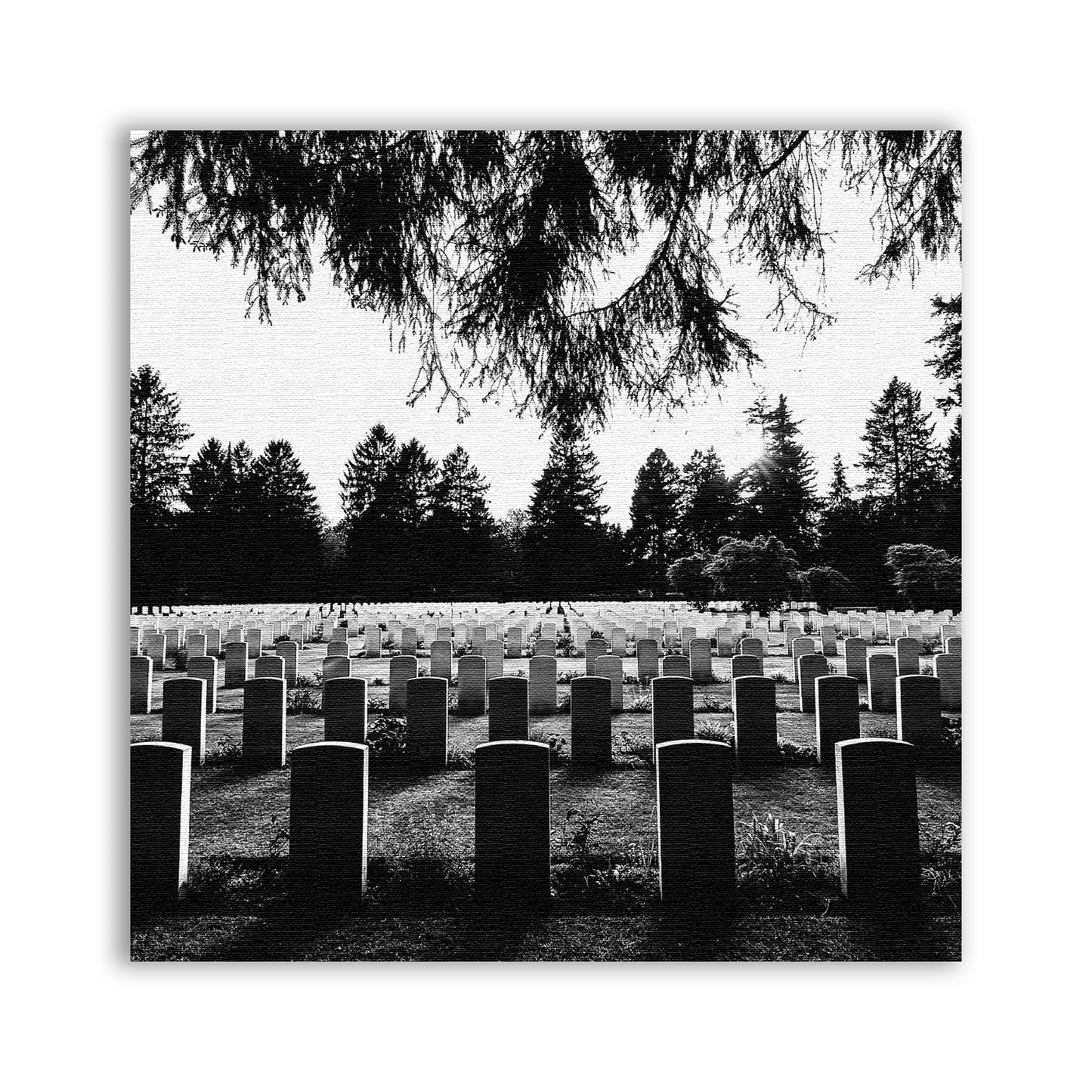 Bless The Dead Patch - CemeteryCrypt