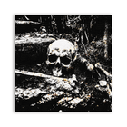 Decay Patch