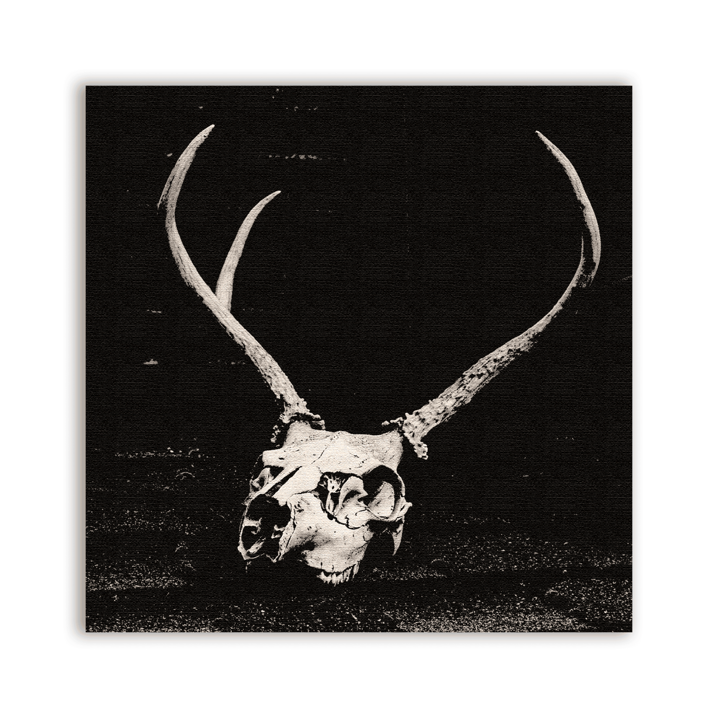 Deer Skull Patch - CemeteryCrypt