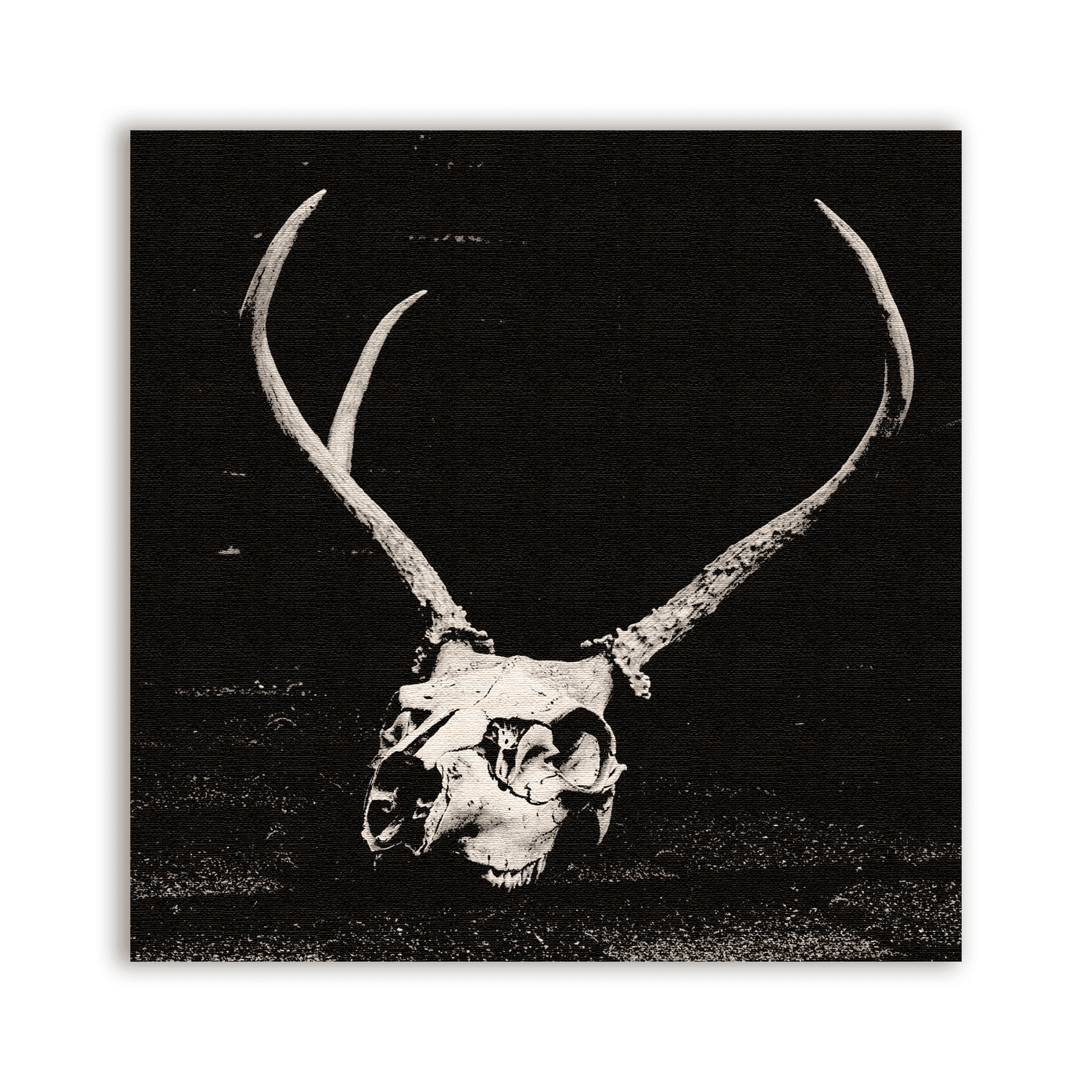 Deer Skull Patch - CemeteryCrypt