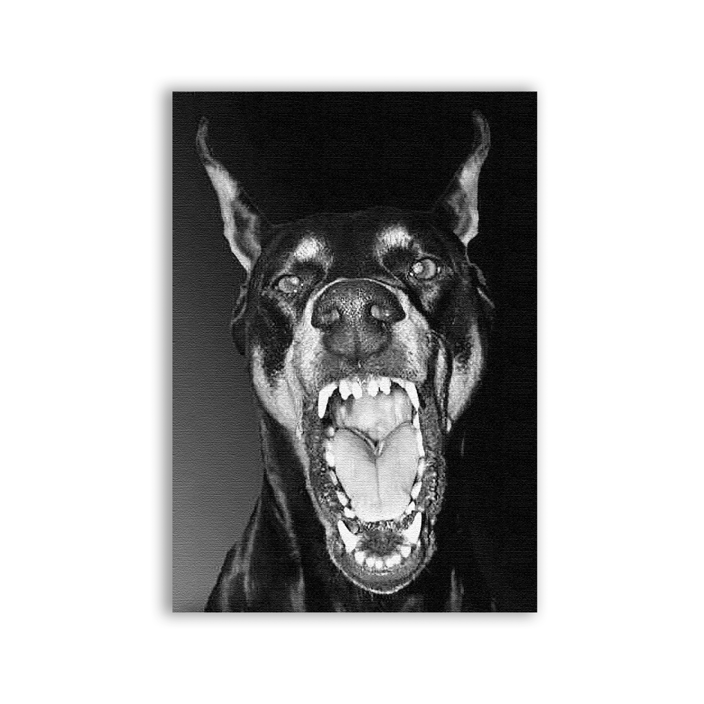 Doberman Patch - CemeteryCrypt