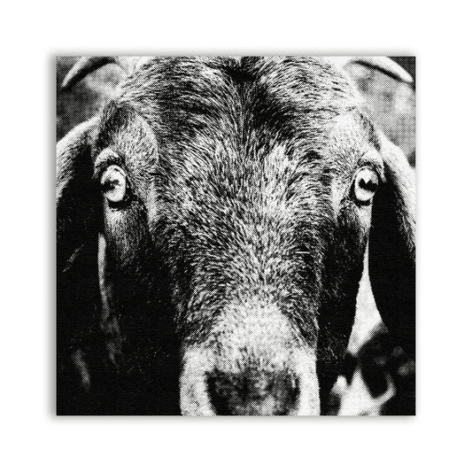 Goat Patch - CemeteryCrypt