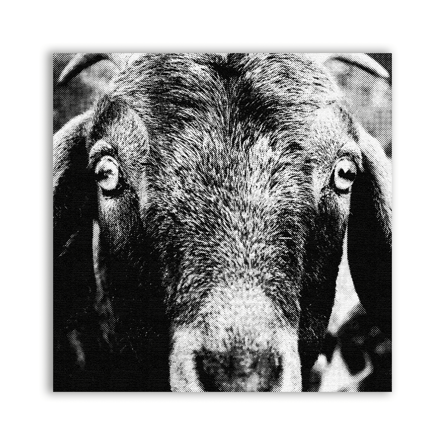 Goat Patch - CemeteryCrypt