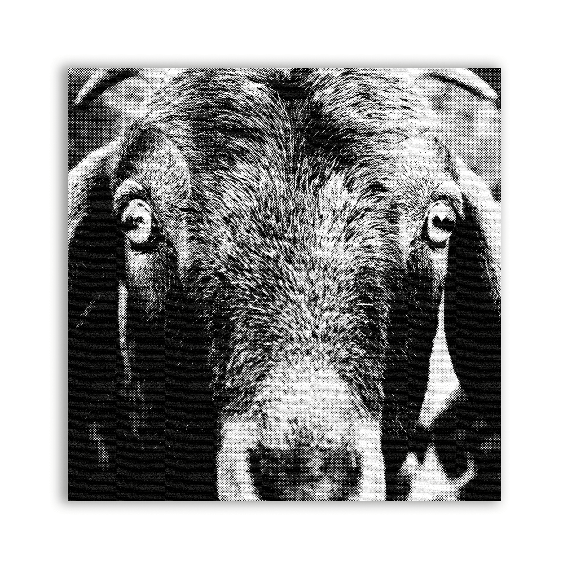 Goat Patch - CemeteryCrypt