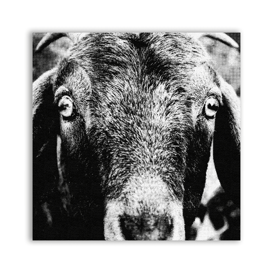 Goat Patch - CemeteryCrypt