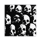 Lost Patch