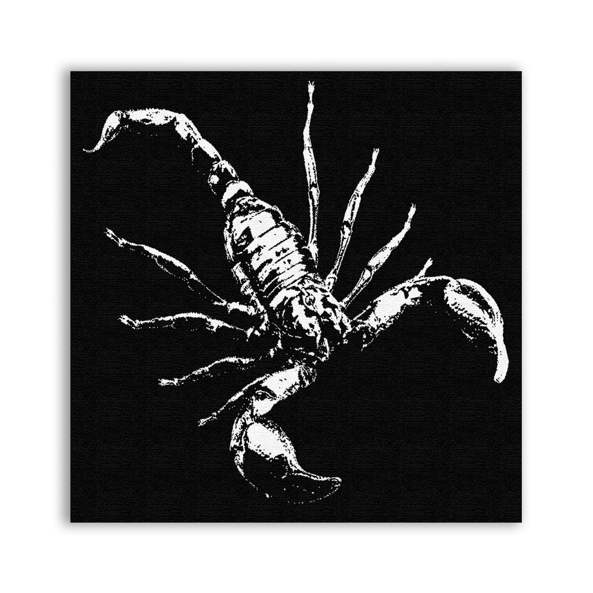Scorpion Patch - CemeteryCrypt