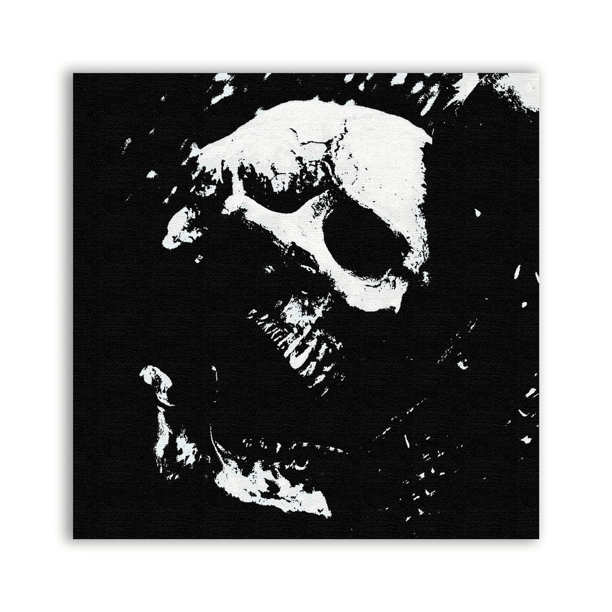 Skull Collection 4 Patch with a tilted white skull emerging from a distressed black background