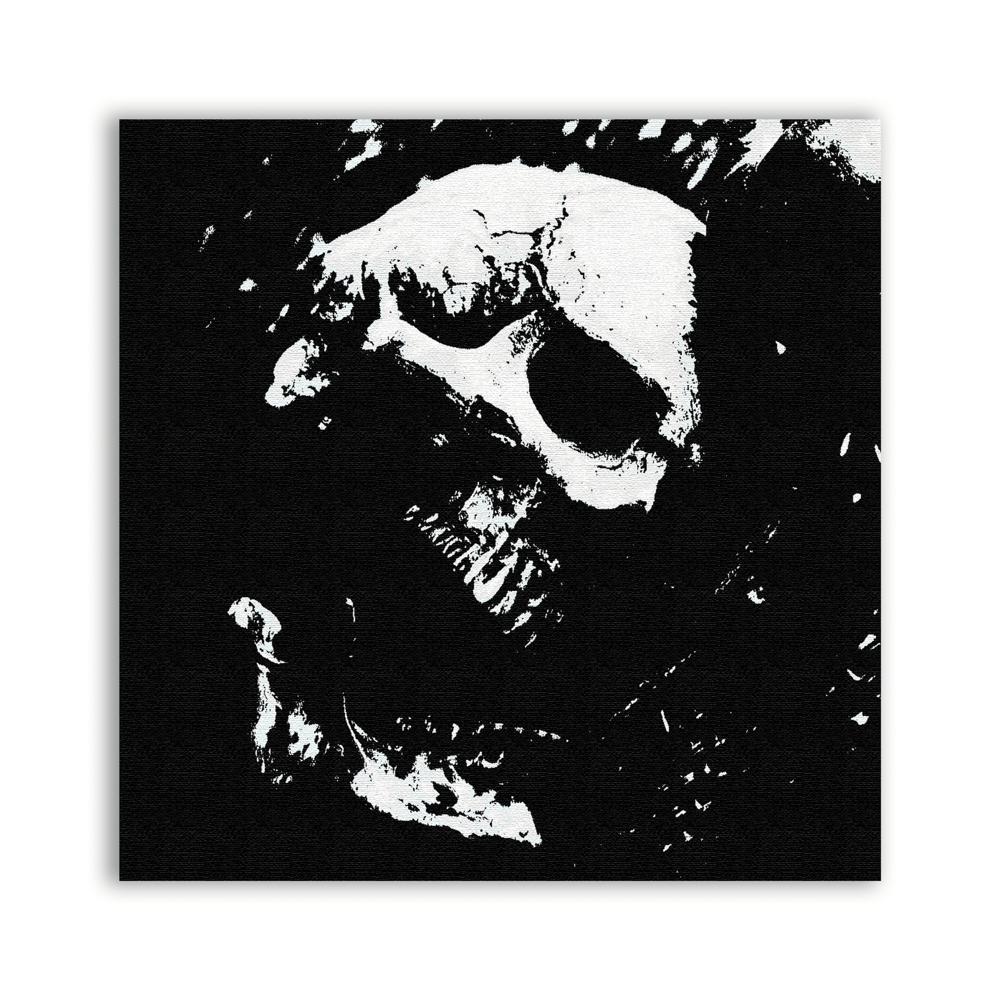 Skull Collection 4 Patch - CemeteryCrypt