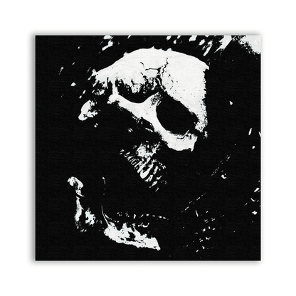 Skull Collection 4 Patch with a tilted white skull emerging from a distressed black background