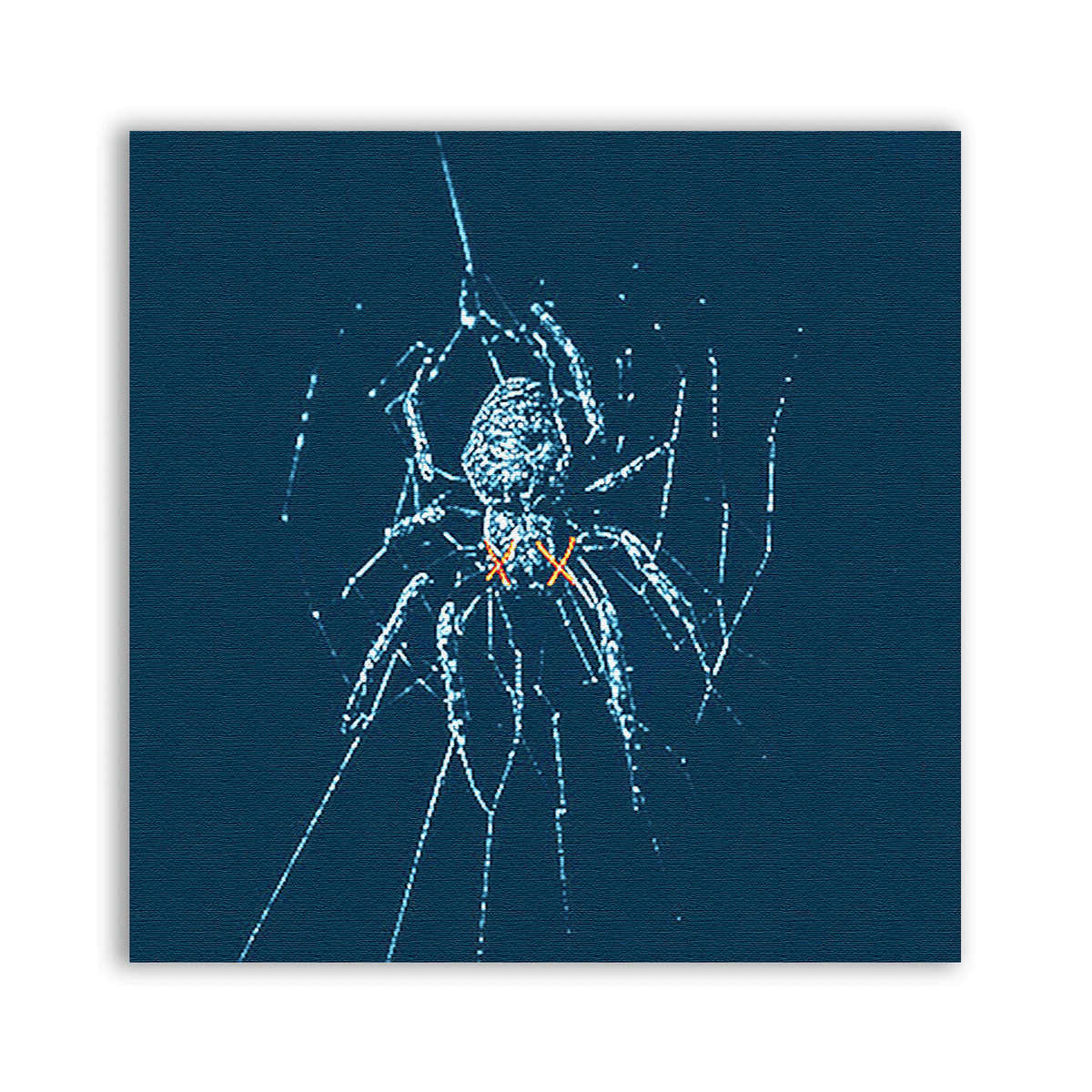 Spider Patch showing a pale spider and web strands against a deep blue background