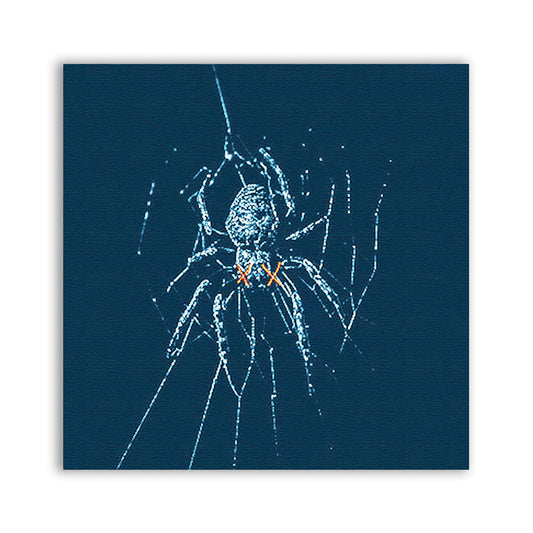 Spider Patch - CemeteryCrypt