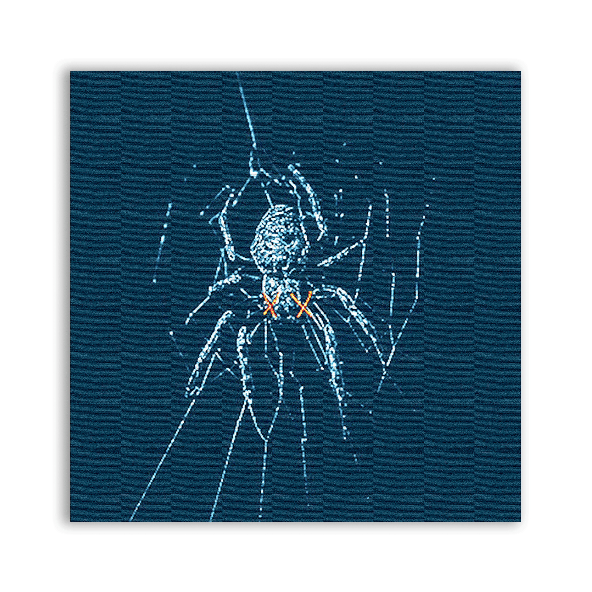 Spider Patch - CemeteryCrypt