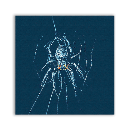 Spider Patch showing a pale spider and web strands against a deep blue background