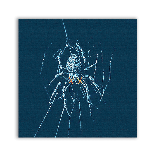 Spider Patch - CemeteryCrypt